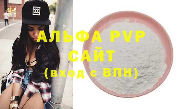 ешки Бородино
