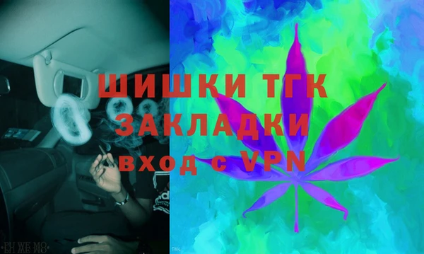 ешки Бородино