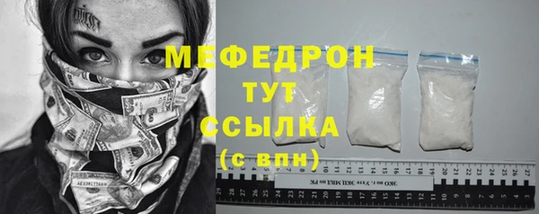 ешки Бородино