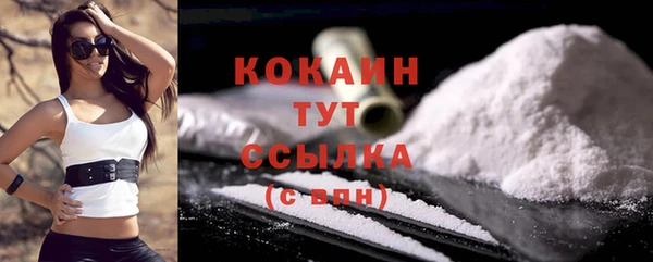 ешки Бородино