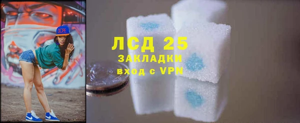 ешки Бородино