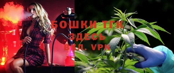 ГАЛЛЮЦИНОГЕННЫЕ ГРИБЫ Навашино